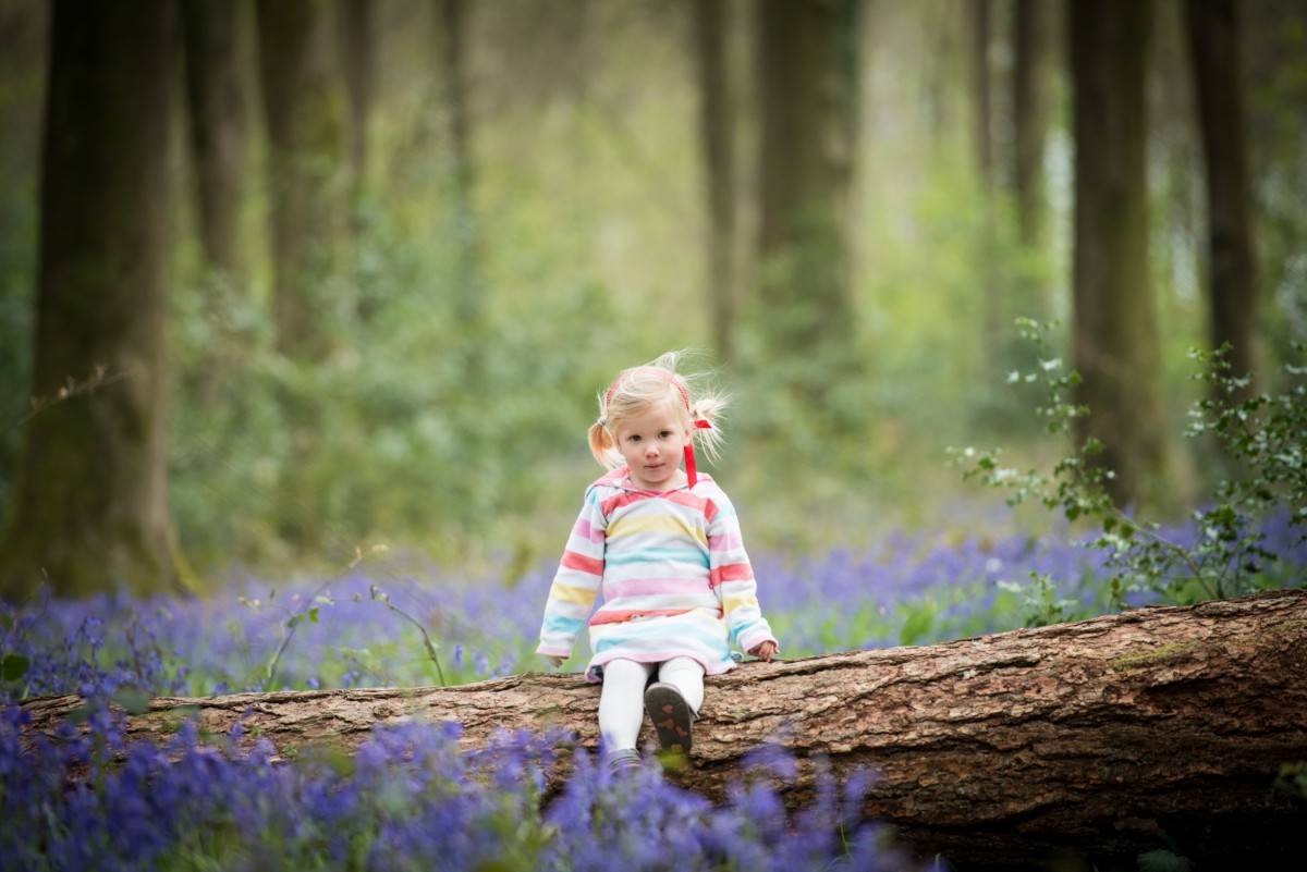Bluebell Photoshoot Micheldever Woods