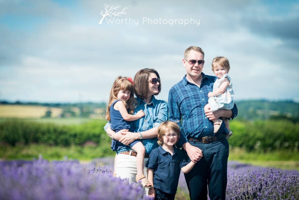 Lavender Fields